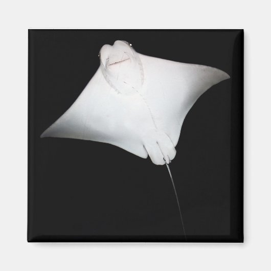 笑顔の光線 マグネット (正面)