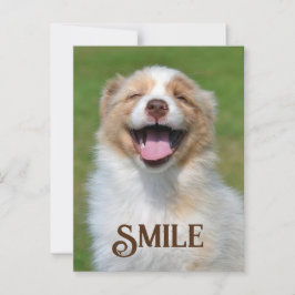 笑顔の子犬おもしろい動物スマイル葉書 ポストカード