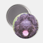 笑顔の子犬 マグネット (正面/裏面)