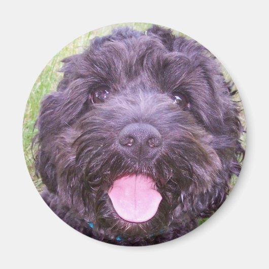 笑顔の子犬 マグネット (正面)