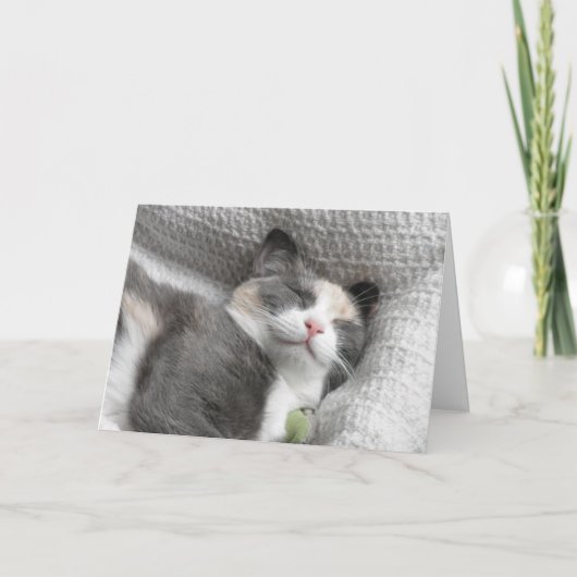 笑顔の子猫サンキューカード サンキューカード (正面)