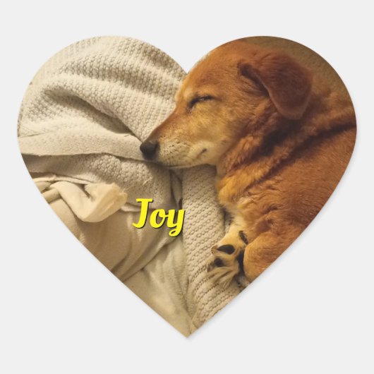 笑顔の犬のハートシール ハートシール (正面)