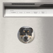 笑顔の犬のマグネット マグネット (インサイチュ (食洗機))