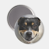 笑顔の犬の磁石 マグネット (正面/裏面)