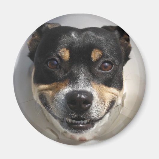 笑顔の犬の磁石 マグネット (正面)