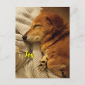 笑顔の犬はがき ポストカード (正面)