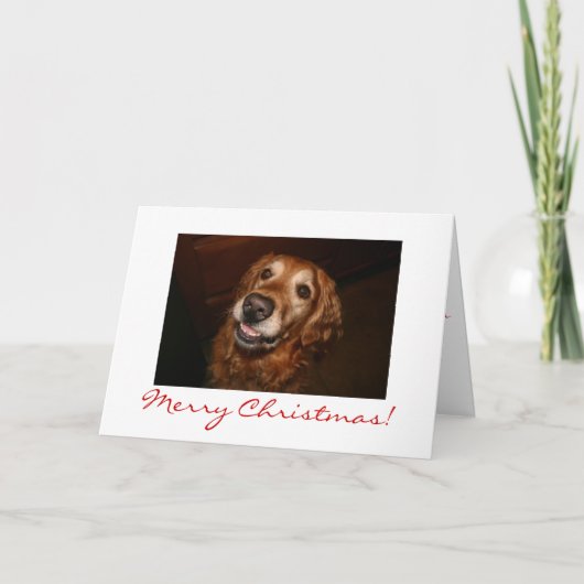 笑顔の犬メリークリスマス シーズンカード (正面)