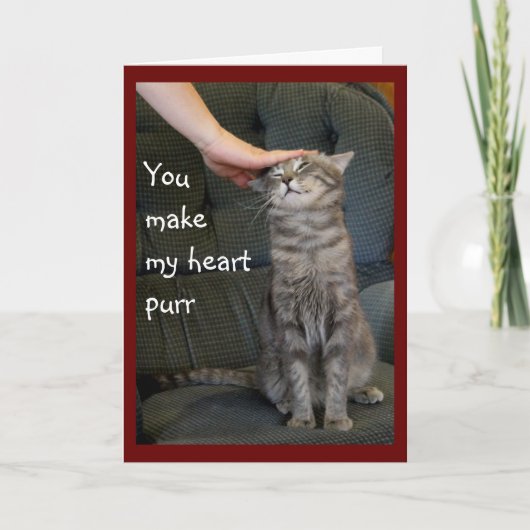 笑顔の猫が出会うホリデーカード シーズンカード (正面)