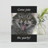 笑顔の猫 (スタンド正面)