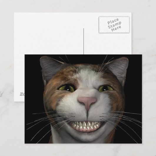 笑顔の猫 ポストカード (正面/裏面)
