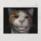 笑顔の猫 ポストカード (正面)