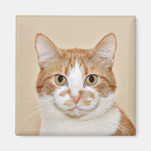 笑顔の猫 マグネット (正面)