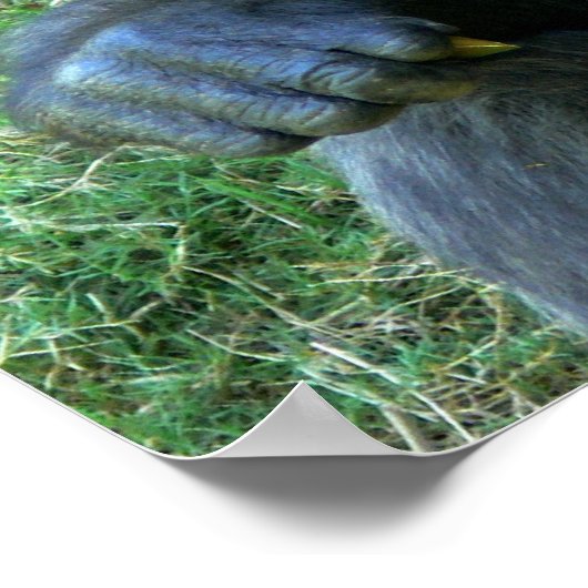 笑顔の猿 ポスター (角)