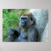 笑顔の猿 ポスター (正面)