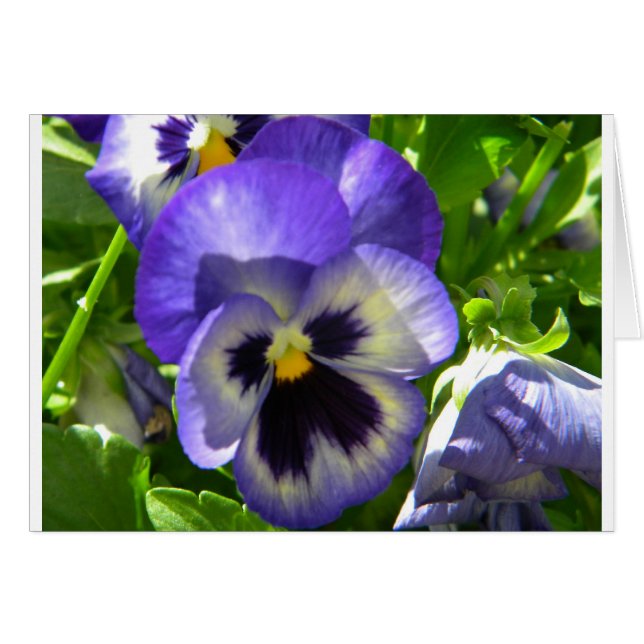 笑顔の花 (正面横)