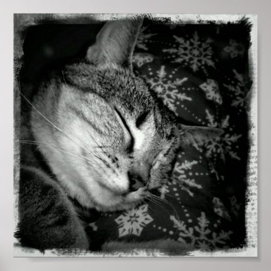 笑顔の藍色B+W ポスター (正面)