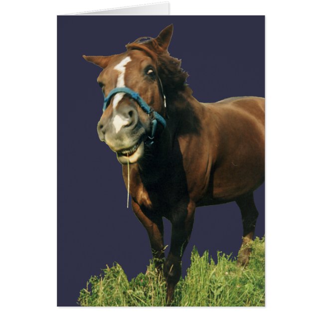 笑顔の馬 (正面)