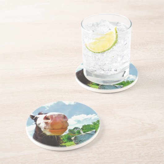 笑顔の馬 コースター (側面)