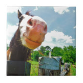 笑顔の馬 タイル (正面)