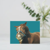 笑顔の馬 ポストカード (スタンド正面)