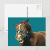 笑顔の馬 ポストカード (正面/裏面)