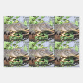 笑顔ゲーターラッピング紙シート ラッピングペーパーシート (正面)