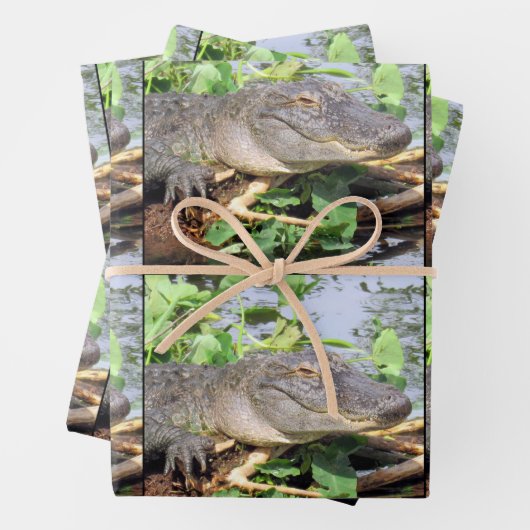 笑顔ゲーターラッピング紙シート ラッピングペーパーシート (インサイチュ)