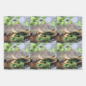 笑顔ゲーターラッピング紙シート ラッピングペーパーシート (正面3)