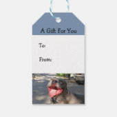 笑顔ピットブルギフトラベル ギフトタグ (裏面)