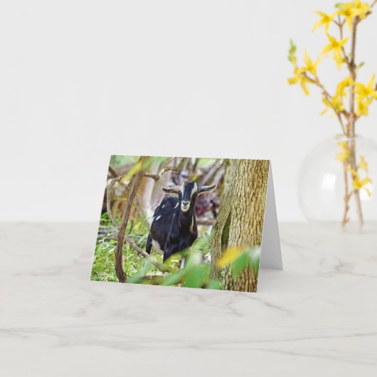 笑顔ヤギ カード (黄色い花)