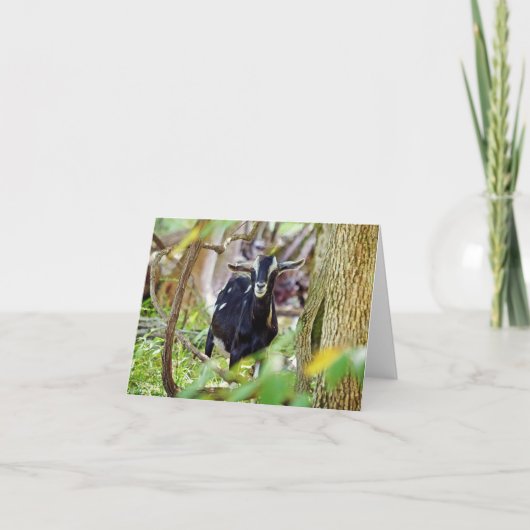 笑顔ヤギ カード (正面)