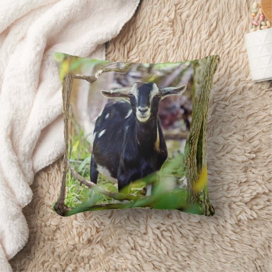 笑顔ヤギ クッション (ブランケット)