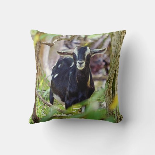 笑顔ヤギ クッション (裏面)