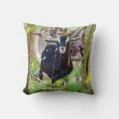 笑顔ヤギ クッション (正面)