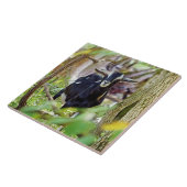 笑顔ヤギ タイル (側面)