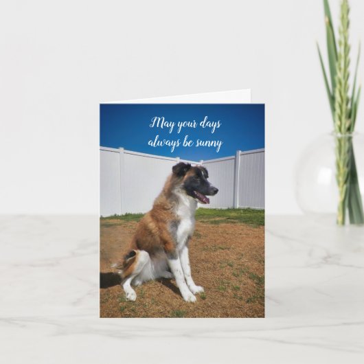 笑顔保で、あなたの日はいつも晴れていることを願う カード (正面)