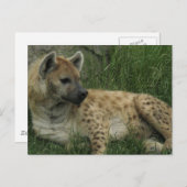 笑顔絵葉書 ポストカード (正面/裏面)