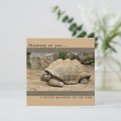 笑顔考えるの亀 サンキューカード (スタンド正面)