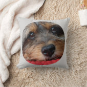 笛Shorkieの枕としてきれいなMoxi クッション (ブランケット)