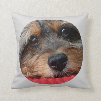 笛Shorkieの枕としてきれいなMoxi クッション