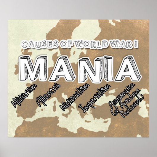 第一次世界大戦の原因 ポスター (正面)