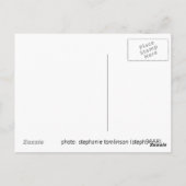 第三輪ラベバード葉書 ポストカード (裏面)