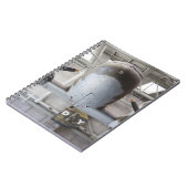 第二次世界大戦C-47ダコタ輸送機, ノートブック (左側)