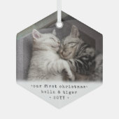第1クリスマス2猫又はペット用シンプル写真六角形 ガラスオーナメント (正面)