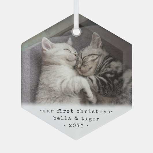 第1クリスマス2猫又はペット用シンプル写真六角形 ガラスオーナメント (正面)