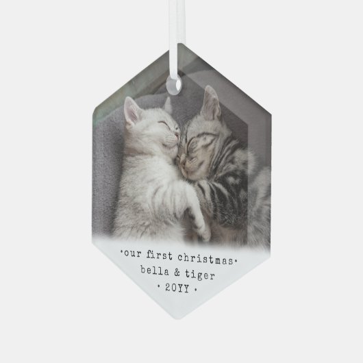 第1クリスマス2猫又はペット用シンプル写真六角形 ガラスオーナメント (正面左)