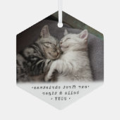 第1クリスマス2猫又はペット用シンプル写真六角形 ガラスオーナメント (裏面)