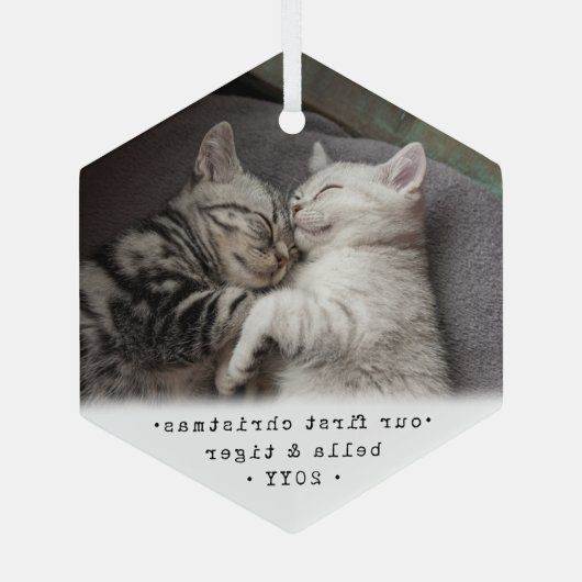 第1クリスマス2猫又はペット用シンプル写真六角形 ガラスオーナメント (裏面)