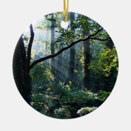 第1ライトオーナメント セラミックオーナメント (正面)