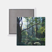 第1ライトマグネット マグネット (正面/裏面)